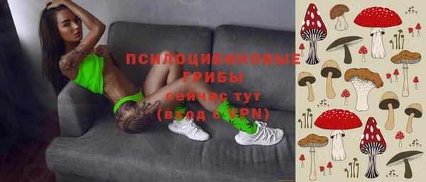 ГАЛЛЮЦИНОГЕННЫЕ ГРИБЫ Алексеевка