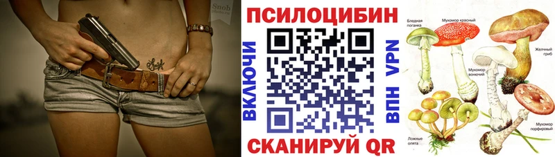 купить наркотики цена  Новошахтинск  Галлюциногенные грибы MAGIC MUSHROOMS 